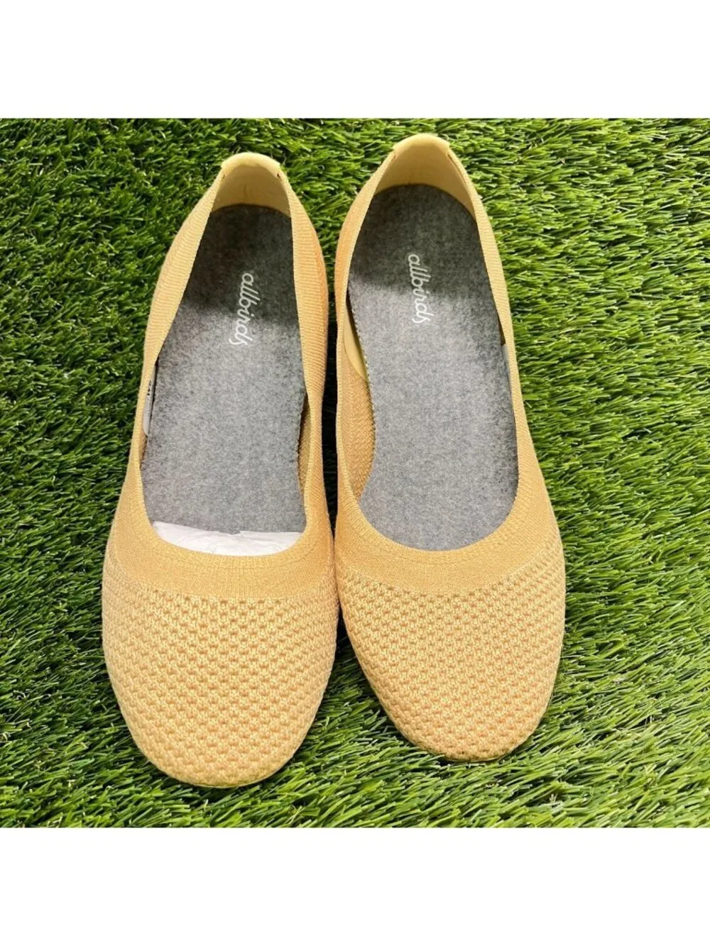 allbirds please review